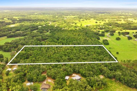 Terreno en venta en Webster, Florida № 1801830 - foto 7