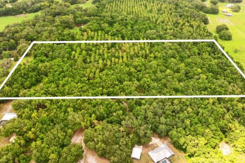 Terreno en venta en Webster, Florida № 1801830 - foto 9