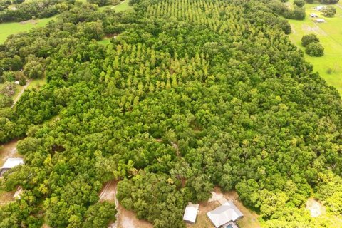 Terreno en venta en Webster, Florida № 1801830 - foto 10
