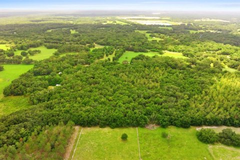 Terreno en venta en Webster, Florida № 1801830 - foto 6