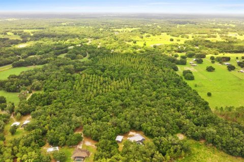 Terreno en venta en Webster, Florida № 1801830 - foto 8