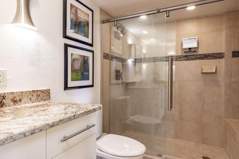 Condominio en alquiler en Saint Pete Beach, Florida, 2 dormitorios, 132.85 m2 № 1885346 - foto 9