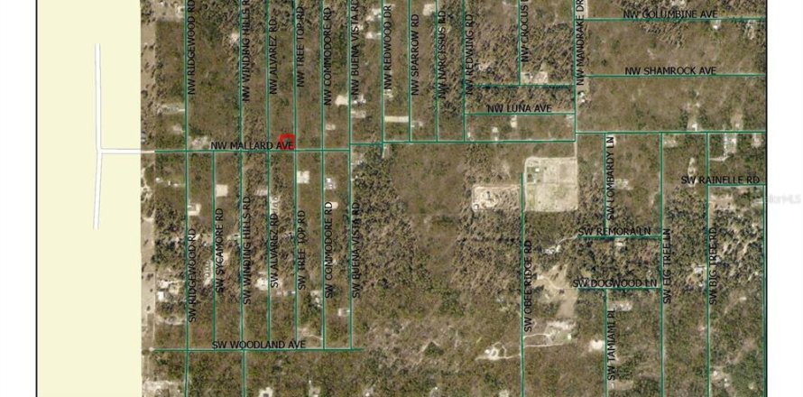 Land in Dunnellon, Florida № 2160270