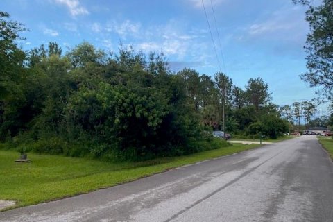 Land in Palm Coast, Florida № 1806885 - photo 3