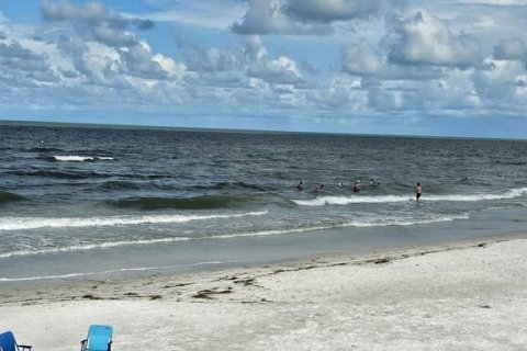 Appartement à louer à Redington Shores, Floride: 2 chambres, 160.54 m2 № 1850028 - photo 21