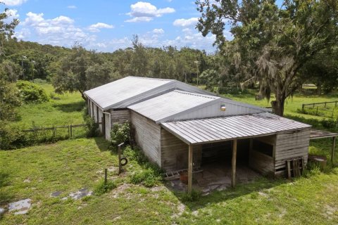 House in Odessa, Florida 6 bedrooms, 297.94 sq.m. № 1827813 - photo 4