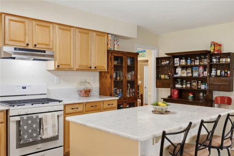 Casa en venta en Leesburg, Florida, 3 dormitorios, 195.09 m2 № 2387540 - foto 9