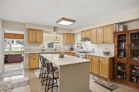 Casa en venta en Leesburg, Florida, 3 dormitorios, 195.09 m2 № 2387540 - foto 4