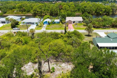 Land in Port Charlotte, Florida № 2213117 - photo 4