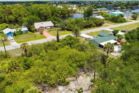 Land in Port Charlotte, Florida № 2213117 - photo 3