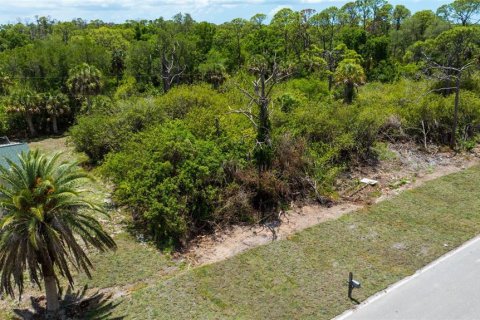 Land in Port Charlotte, Florida № 2213117 - photo 2