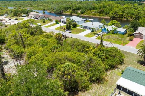 Land in Port Charlotte, Florida № 2213117 - photo 5