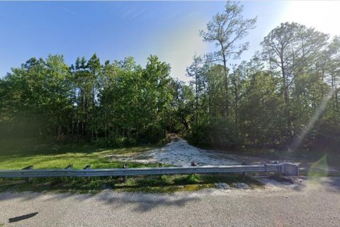Land in Orlando, Florida № 1399171 - photo 2
