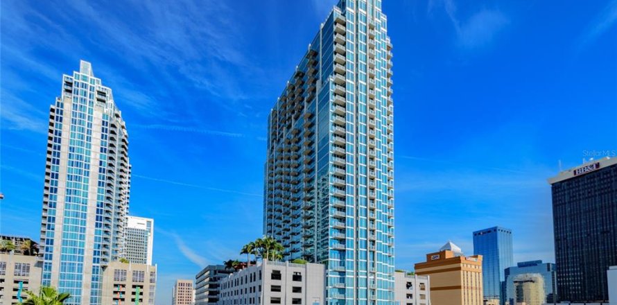 Condo in Tampa, Florida, 1 bedroom  № 1845246