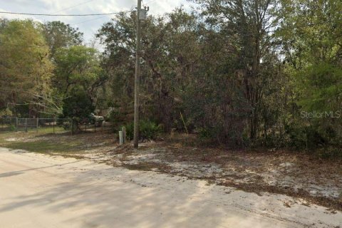 Land in Interlachen, Florida № 2161869 - photo 5
