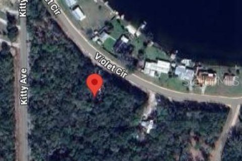 Land in Interlachen, Florida № 2161869 - photo 2
