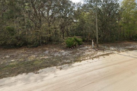 Land in Interlachen, Florida № 2161869 - photo 4