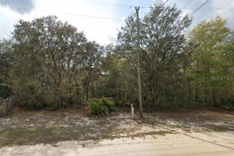 Land in Interlachen, Florida № 2161869 - photo 3