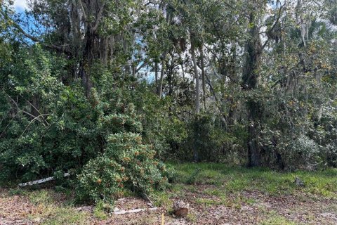 Land in Hudson, Florida № 1442305 - photo 2