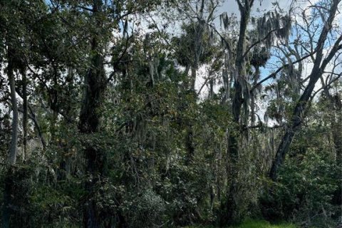 Land in Hudson, Florida № 1442305 - photo 3