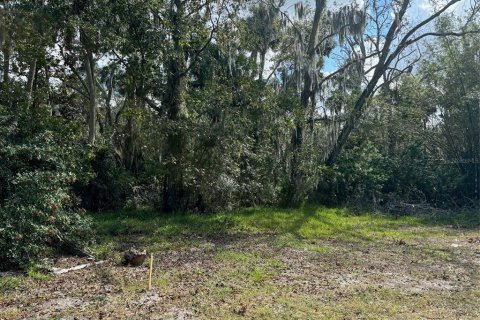 Land in Hudson, Florida № 1442305 - photo 1