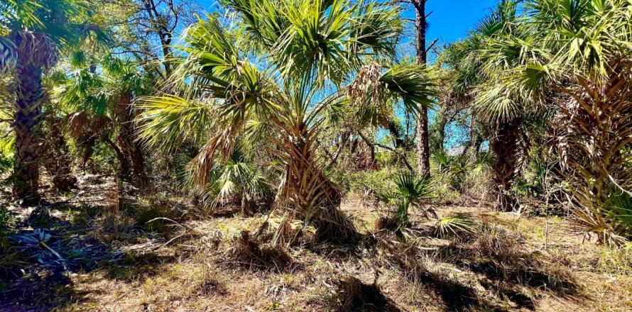 Immobilier commercial à Port Charlotte, Floride № 2168398