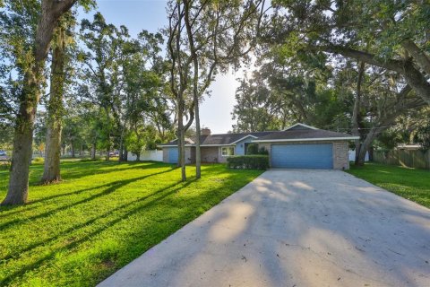 Villa ou maison à vendre à Seffner, Floride: 3 chambres, 221.76 m2 № 1851194 - photo 1