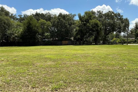 Terreno en venta en Tampa, Florida № 1880942 - foto 3