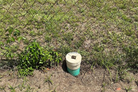 Terreno en venta en Tampa, Florida № 1880942 - foto 7