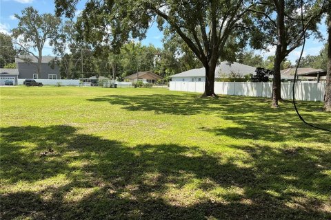 Terreno en venta en Tampa, Florida № 1880942 - foto 11