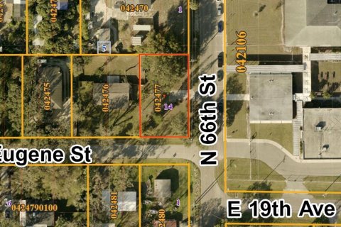 Land in Tampa, Florida № 1776889 - photo 1