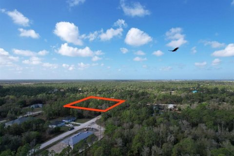 Terrain à vendre à Placida, Floride № 2205959 - photo 6