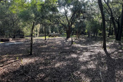 Land in Lake Wales, Florida № 1781168 - photo 7