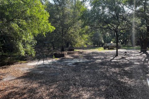 Land in Lake Wales, Florida № 1781168 - photo 3