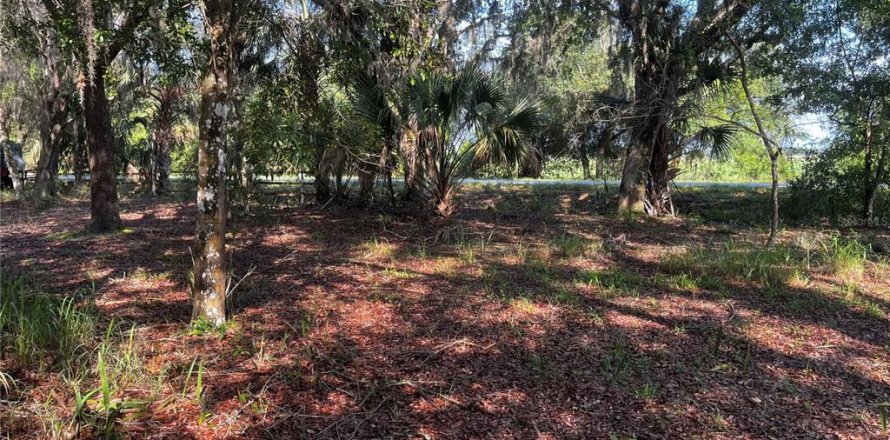 Land in Lake Wales, Florida № 1781168