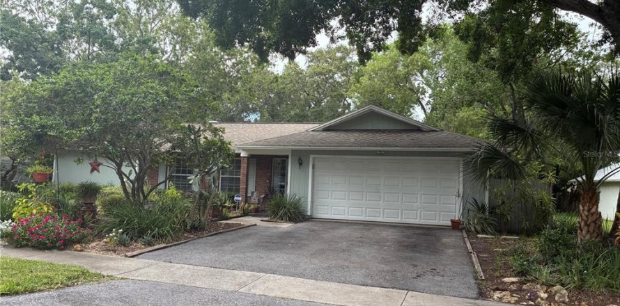 House in Palm Harbor, Florida 4 bedrooms, 216.18 sq.m. № 1828558