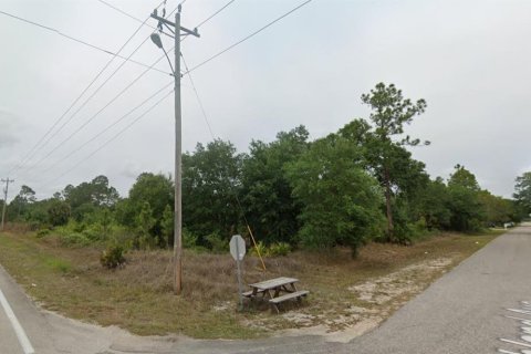 Land in Lehigh Acres, Florida № 2158697 - photo 6