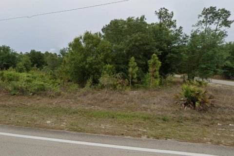 Land in Lehigh Acres, Florida № 2158697