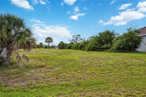 Land in Rotonda, Florida № 2161609 - photo 6
