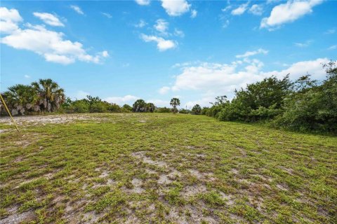 Land in Rotonda, Florida № 2161609 - photo 7