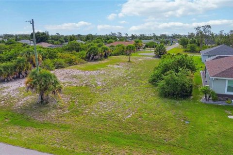 Land in Rotonda, Florida № 2161609 - photo 9