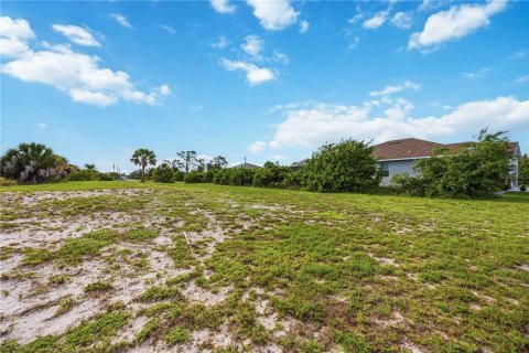 Land in Rotonda, Florida № 2161609 - photo 8