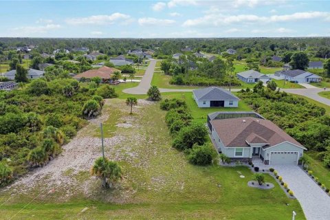 Land in Rotonda, Florida № 2161609 - photo 10