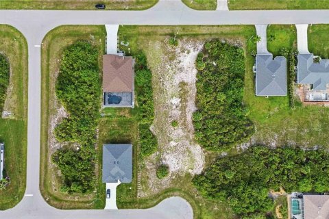 Land in Rotonda, Florida № 2161609 - photo 12