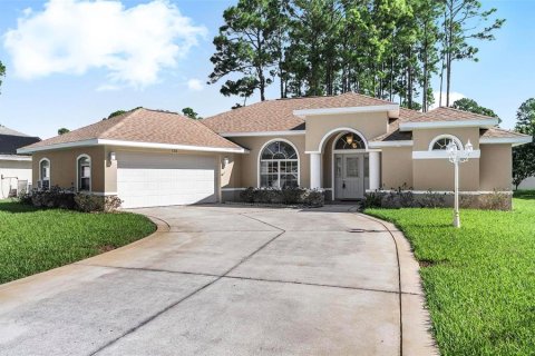 Villa ou maison à Palm Coast, Floride 3 chambres, 191.84 m2 № 2416581