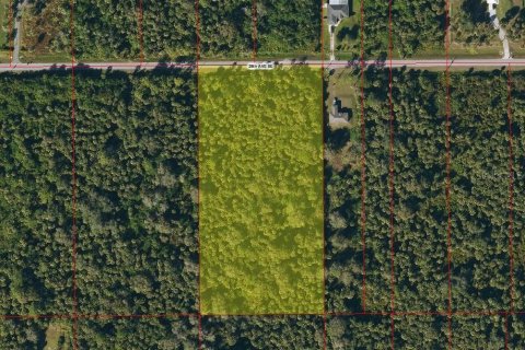 Land in Naples, Florida № 1866100 - photo 2