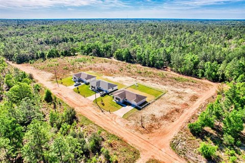 Villa ou maison à vendre à Hawthorne, Floride: 4 chambres, 161.19 m2 № 1111902 - photo 3