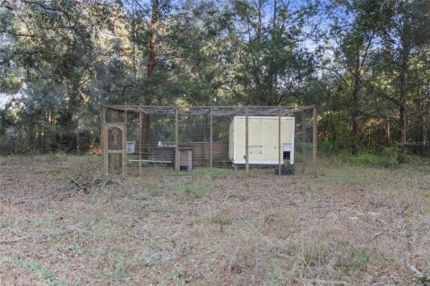 Villa ou maison à louer à Ocklawaha, Floride: 3 chambres, 180.88 m2 № 1854042 - photo 17