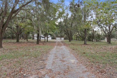 Villa ou maison à louer à Ocklawaha, Floride: 3 chambres, 180.88 m2 № 1854042 - photo 20