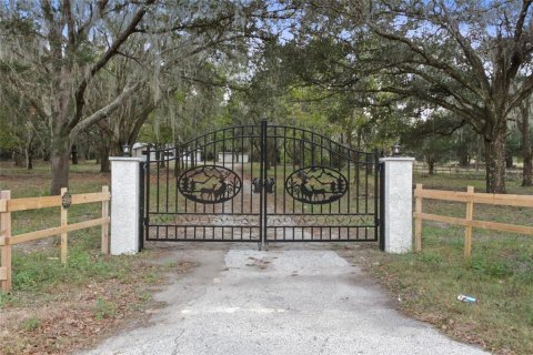 Villa ou maison à louer à Ocklawaha, Floride: 3 chambres, 180.88 m2 № 1854042 - photo 23